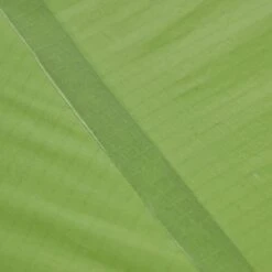 VAUDE LIZARD SEAMLESS 1-2P - Einpersonenzelt -Primus Camping Deutschland Verkaufs-Shop 5637736447 af power lizard seamless 12p cress green vaude 24