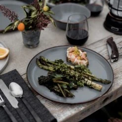 PLATE / SET/2 - Campinggeschirr -Primus Camping Deutschland Verkaufs-Shop 5638072754 h plate set2 barebones 24